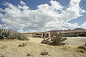 Urubamba valley, dominated by the imposing summits of the Cordillera de Vilcabamba 